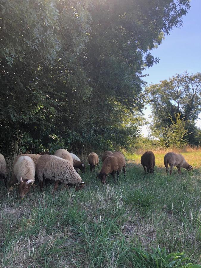 Farm stay La Ferme De Russe