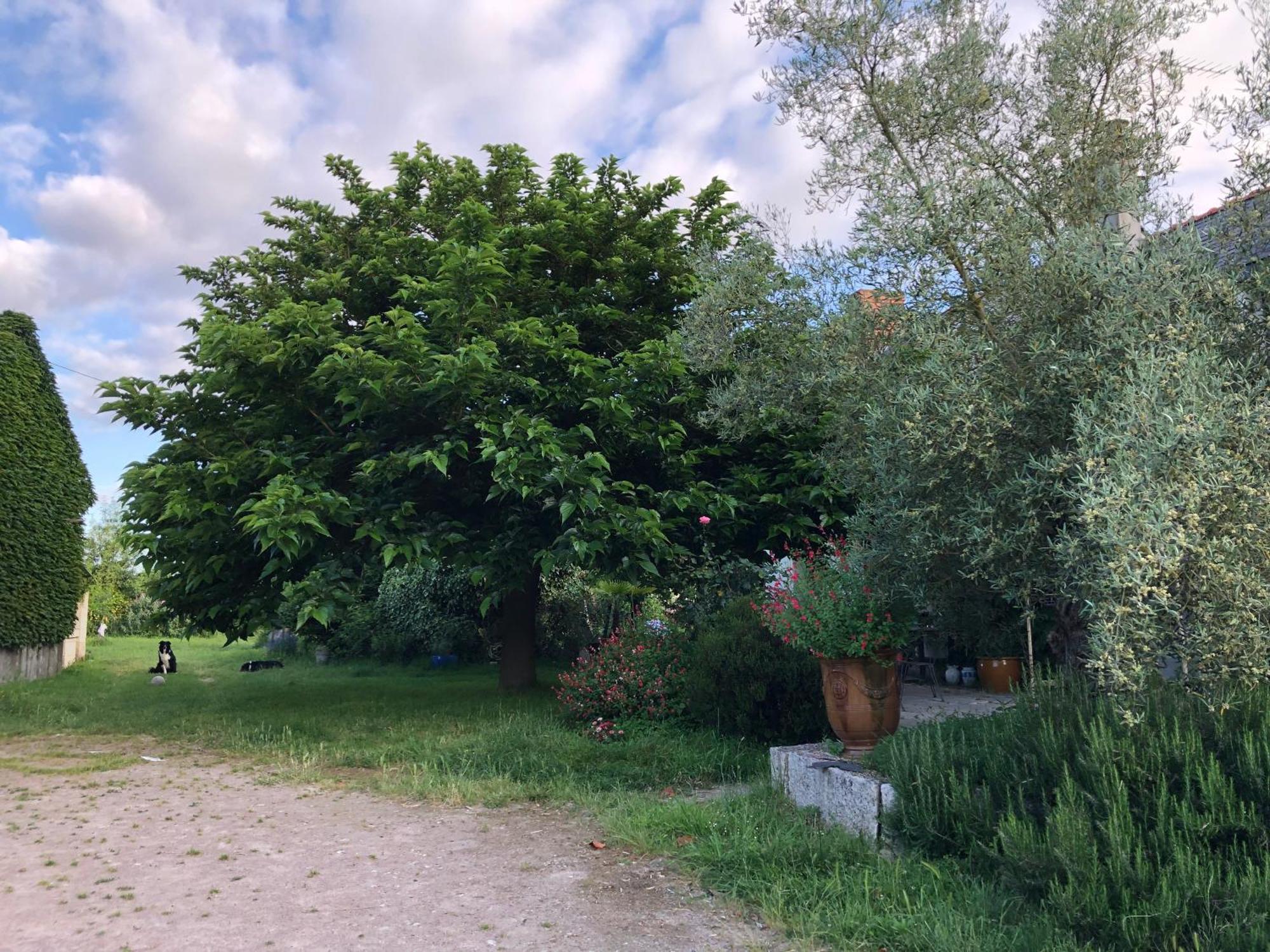 Farm stay La Ferme De Russe
